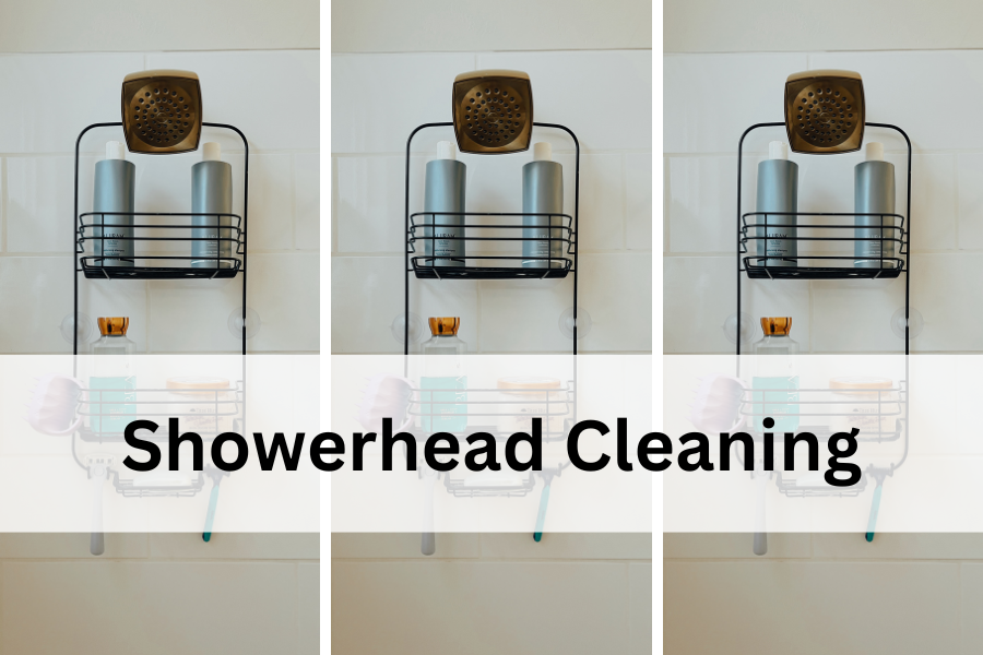 showerhead cleaning