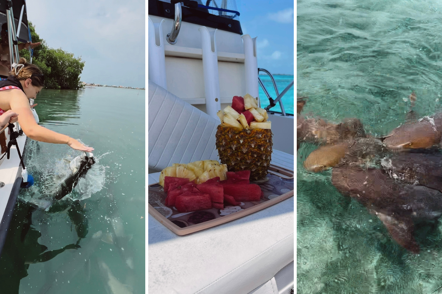 caye caulker belize snorkeling